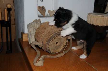 Anjuk entdeckt unsere Antiquitäten ...